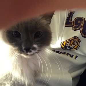 Meet your Posher, Andrew